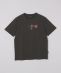 SHIPS Colors:TeddyBear(R) �R���{ T�V���c��
