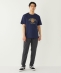 SHIPS Colors:TeddyBear(R) �R���{ T�V���c��