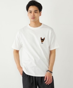 �������݉�×SHIPS:�R���{ �h�J T�V���c��