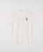 SHIPS Colors:Sealtest(R) ICE CREAM �v�����g T�V���c