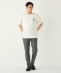 SHIPS Colors:Sealtest(R) ICE CREAM �v�����g T�V���c