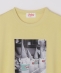 SHIPS Colors:Sealtest(R) ICE CREAM �v�����g T�V���c