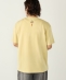 SHIPS Colors:Sealtest(R) ICE CREAM �v�����g T�V���c