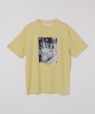 SHIPS Colors:Sealtest(R) ICE CREAM �v�����g T�V���c �C�G���[