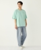 �yWEB����zSHIPS Colors:�q�����ݖh�~�r�^�C�j�[���S T�V���c