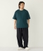 �s�\��t�yWEB����zSHIPS Colors:W�t�F�C�X �j�b�g�� T�V���c��