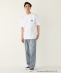�ySHIPS Colors�ʒ��z�A�C�X�{�b�N�X:�q�ڐG�⊴�r�v�����g T�V���c��