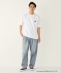 �ySHIPS Colors�ʒ��z�A�C�X�{�b�N�X:�q�ڐG�⊴�r�v�����g T�V���c��