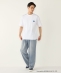 �ySHIPS Colors�ʒ��z�A�C�X�{�b�N�X:�q�ڐG�⊴�r�v�����g T�V���c��