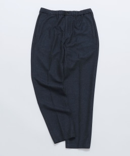 SHIPS Colors:�q����@�\�r�W���[�W�[ �C�[�W�[ �X���b�N�X(�Z�b�g�A�b�v�Ή�)