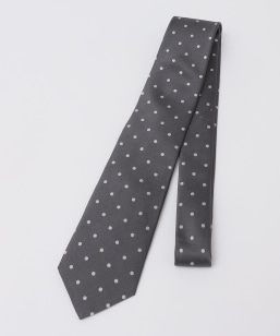 SHIPS Colors:�V���N �h�b�g �l�N�^�C��