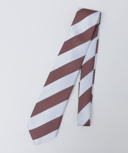 SHIPS Colors:���{�� �V���N �X�g���C�v �l�N�^�C