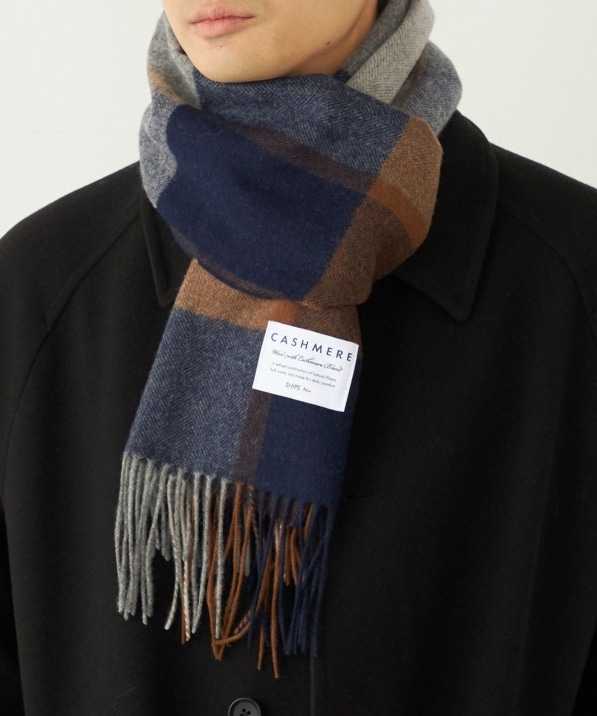 SHIPS Colors:JV~ ~bNX E[ }t[ 2