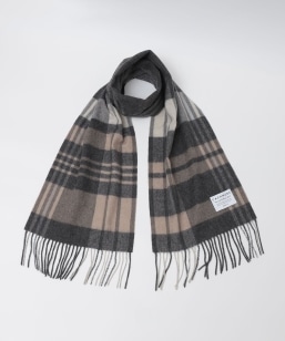 SHIPS Colors:JV~ ~bNX E[ }t[ 2