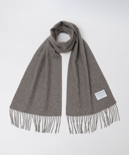 SHIPS Colors:JV~ ~bNX E[ }t[ 2