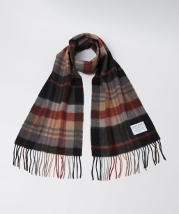 SHIPS Colors:JV~ ~bNX E[ }t[ 2