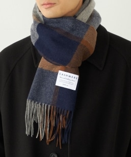 SHIPS Colors:JV~ ~bNX E[ }t[ 2