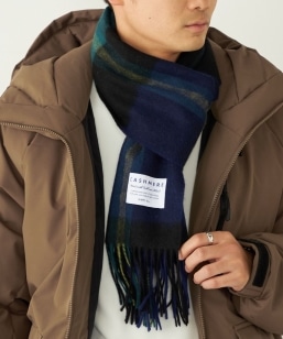 SHIPS Colors:JV~ ~bNX E[ }t[ 2