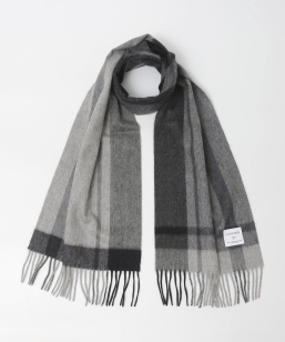 �s�ꕔ�ǉ��E�V�F�\��t�y�ꕔWEB����z�J�V�~�� 100% �}�t���[��