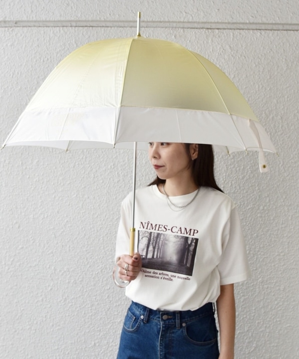 assa:�O���f�[�V���� �W�F���[ �P (�e��60cm)��