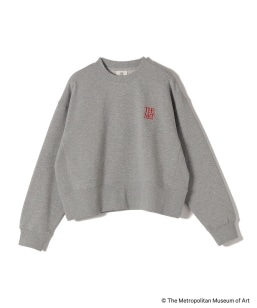 SHIPS Colors:The Met R{ GuC_[ {NV[ XEFbg Q