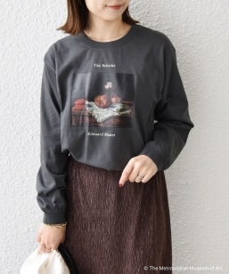 SHIPS Colors:The Met R{ }l A[g sVc