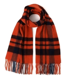 SHIPS Colors:q􂢉\rE[ `FbN Xg[