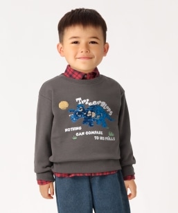 sꕔǉ\tSHIPS Colors:100`130cm / XpR[ XEFbg