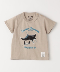 SHIPS Colors:80�`130cm / �p�b�`���[�N �h�J T�V���c