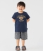 �s�V�F�\��tSHIPS Colors:80�`150cm / TeddyBear(R) �R���{ T�V���c��