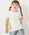 SHIPS Colors:90�`140cm /�q����@�\�r�h�b�L���O �`���j�b�N T�V���c��