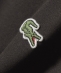 �ySHIPS�ʒ��zLACOSTE:�q��􂢉\�r�ܕ��� TEE