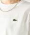 �ySHIPS�ʒ��zLACOSTE:�q��􂢉\�r�ܕ��� TEE