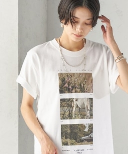 �s�\��t�ySHIPS�ʒ��zTHE COULTURE CODE: ARTIST TEE�iAS�j