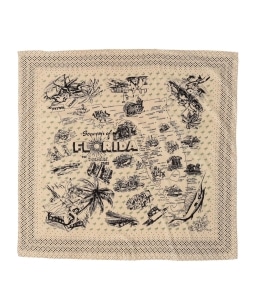 BINDU:FLORIDA �o���_�i