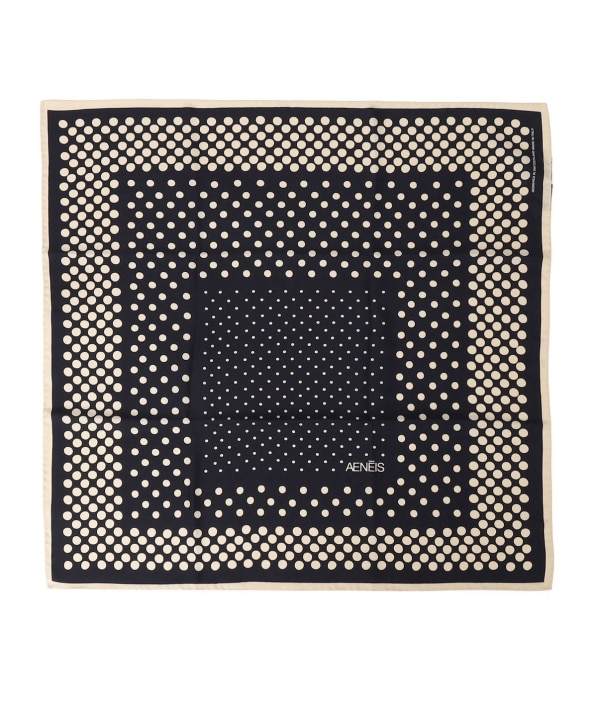 AENEIS:�X�J�[�t