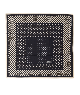 AENEIS:�X�J�[�t