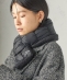 �s�\��t�ySHIPS�ʒ��zTAION:�q��􂢉\�rSHIRRING MUFFLER