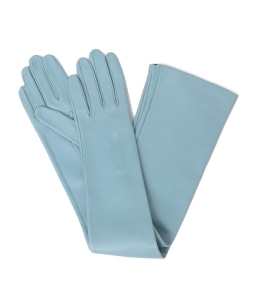 CARIDEI:�����O �O���[�u