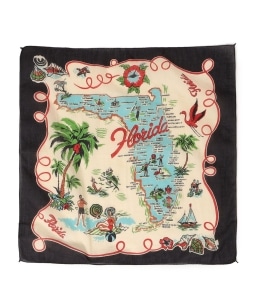 BINDU:FLORIDA24 �o���_�i