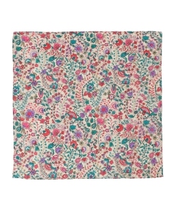 Mistral:�v�����g �o���_�i