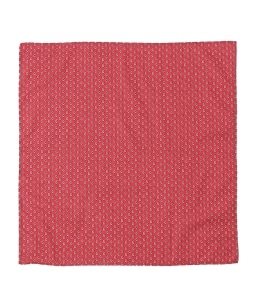 Mistral:�v�����g �o���_�i