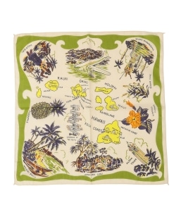 BINDU:Hawaii �o���_�i