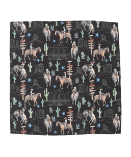 ROCKMOUNT:�o���_�i