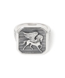 Gerochristo: Pegasus Ring �V���o�[