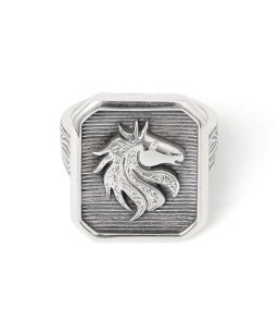 Gerochristo: Horse Ring