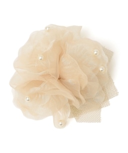 �p�[�����`�[�t�R�T�[�W����