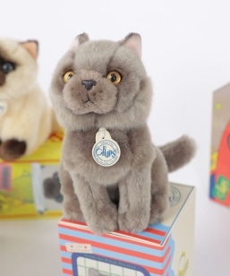 BON TON TOYS:B.T. CHAPS :DOG&CAT �ʂ������