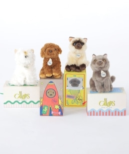 BON TON TOYS:B.T. CHAPS :DOG&CAT �ʂ������