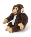 BON TON TOYS:WWF orangutan/chimpanzee �ʂ������